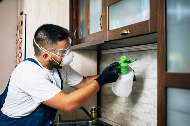 Best Commercial Pest Control Services  in Massapequa, NY