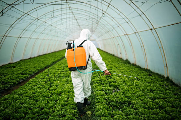 Best Mosquito Control Services  in Massapequa, NY