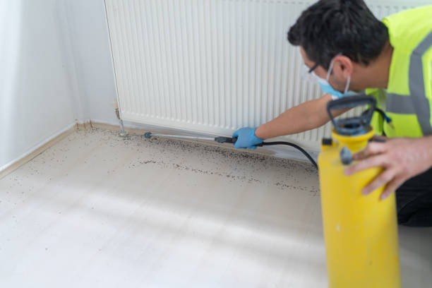 Best Local Pest Control Services  in Massapequa, NY
