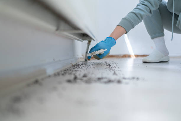 Best Flea Control Services  in Massapequa, NY